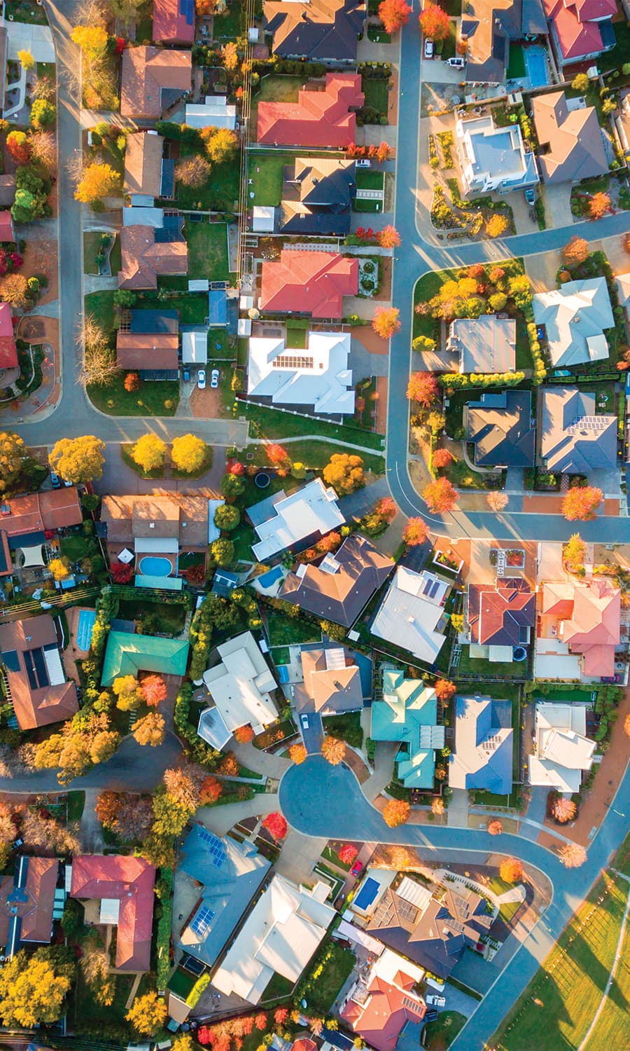 Networks Designed for Your State