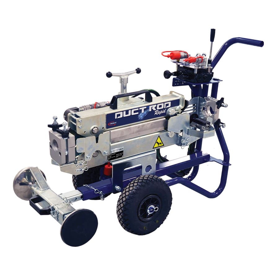 Large pink and green plant held by someone