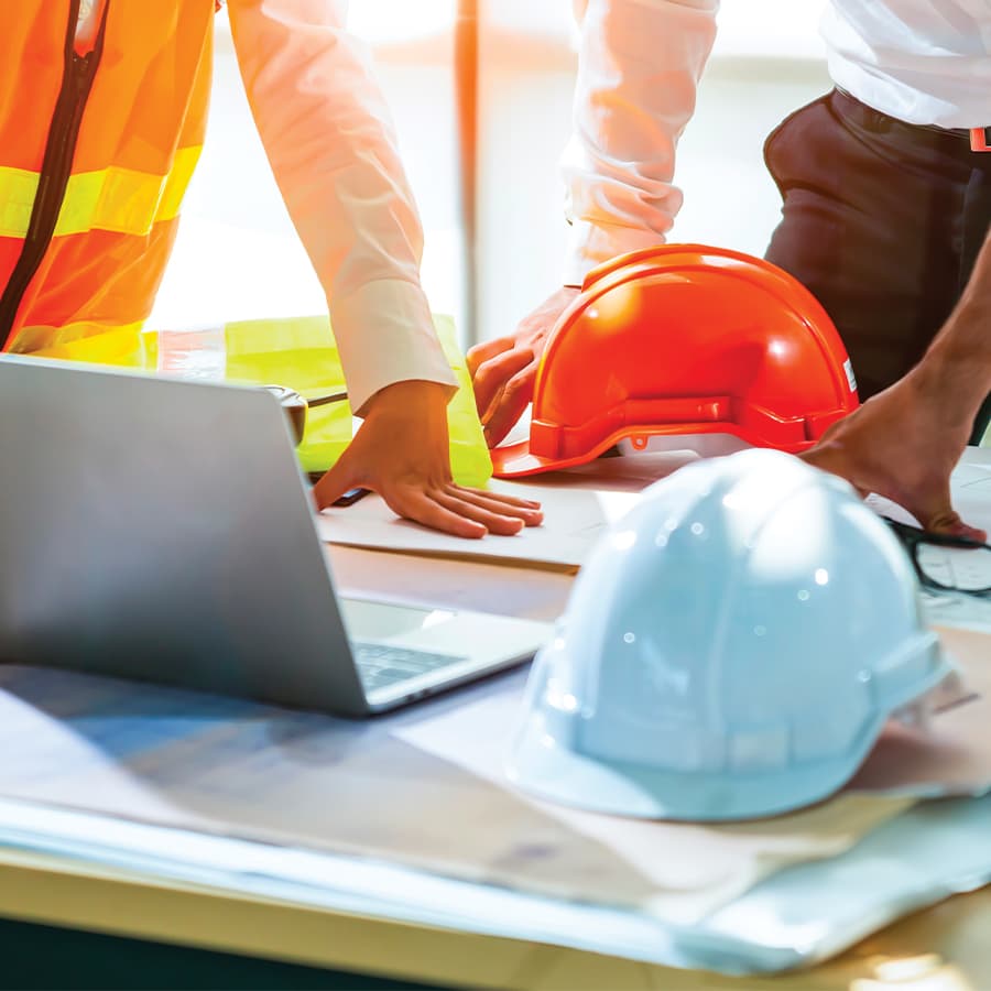 Tote bag containing a plant